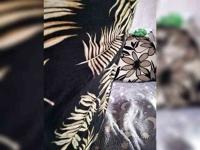 AlexAlexandra webcam