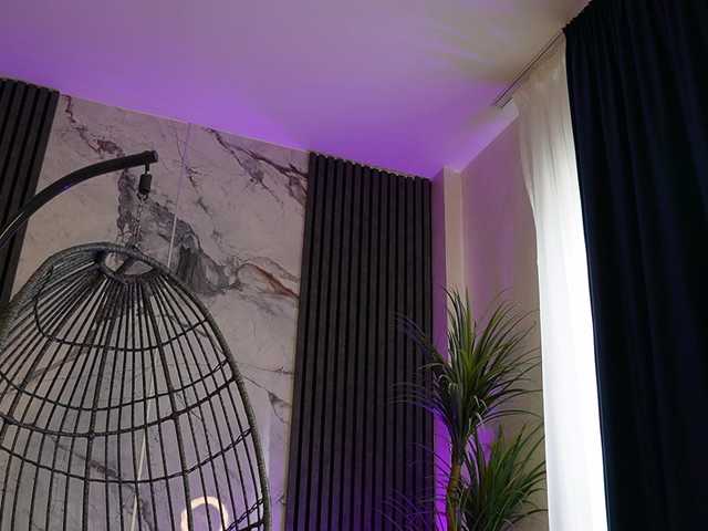 Preview of rachelravee