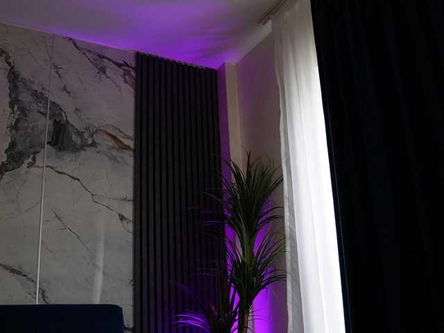 Preview of rachelravee