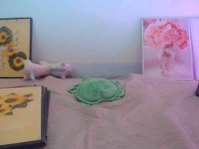 Meme-Miuu webcam