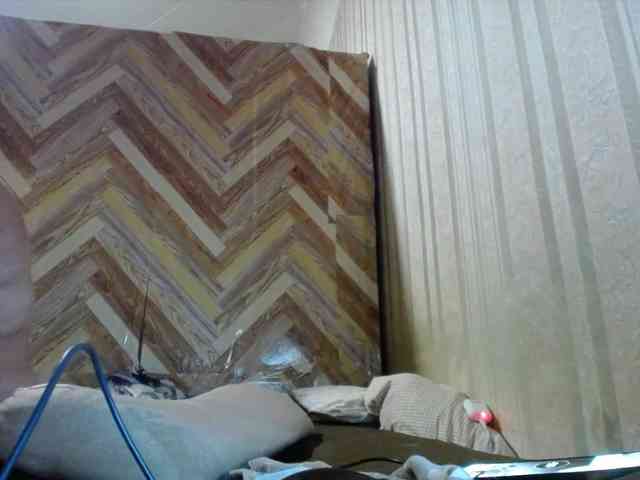 terryfoks webcam