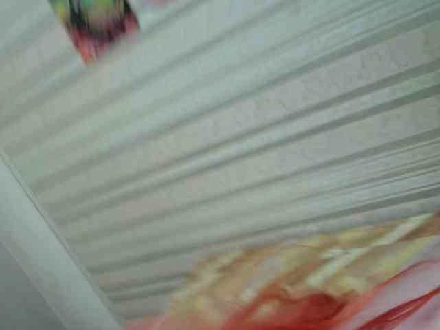 terryfoks webcam