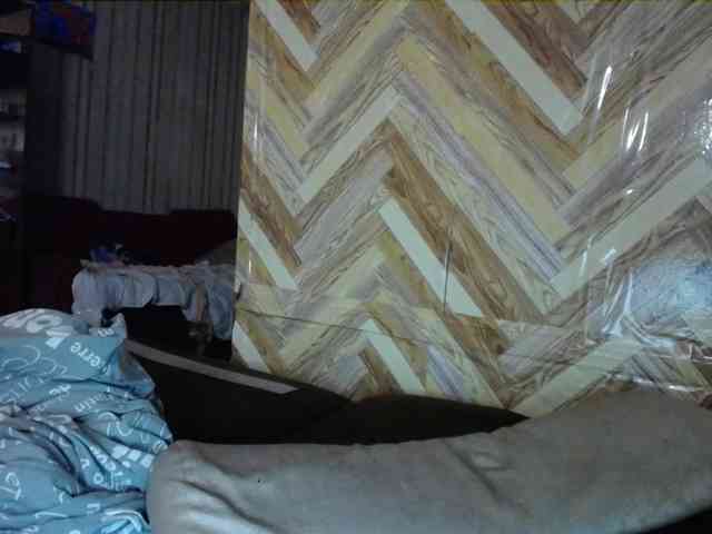 terryfoks webcam