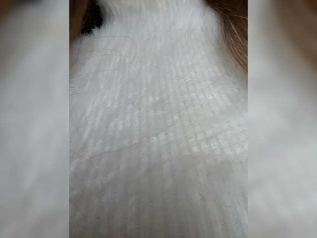 Katti-she live cam on BongaCams