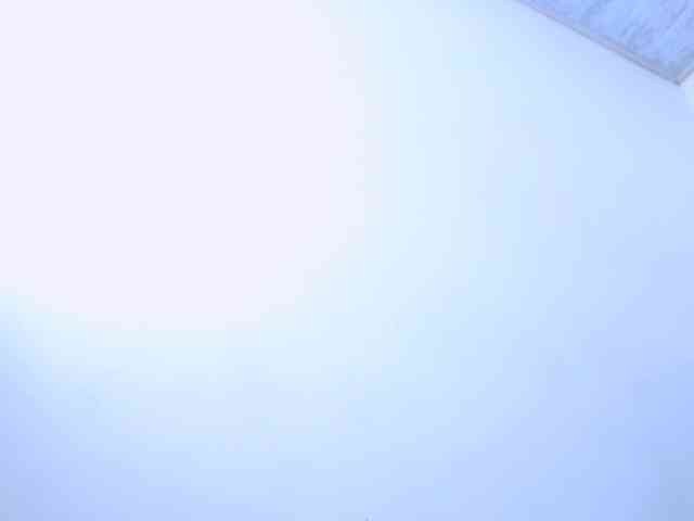 everlyn-party Sex Cam Show
