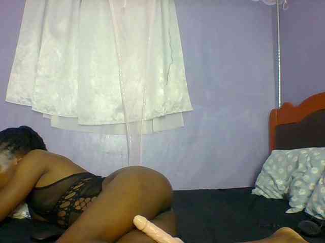 Modelo: spicyit2