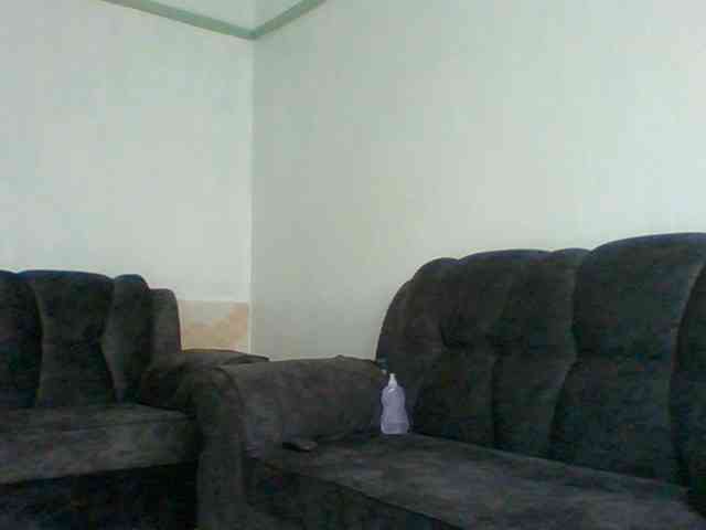 sonniestar webcam