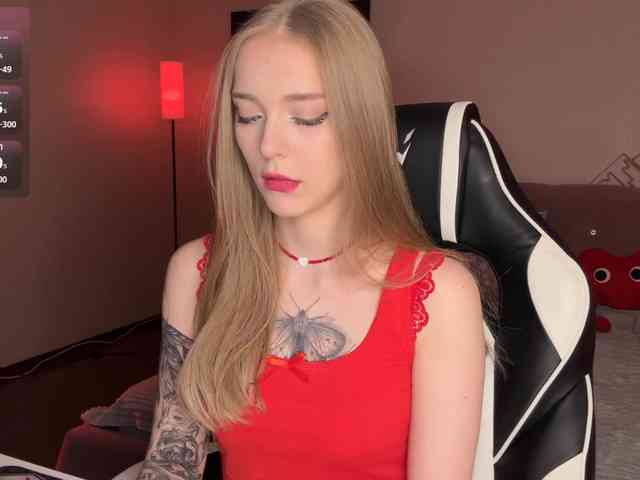 VersieBruegman webcam