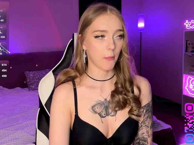 VersieBruegman webcam