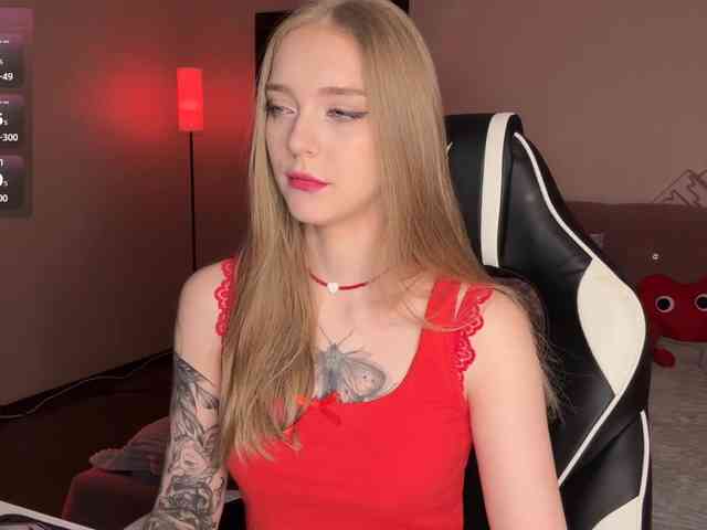 VersieBruegman webcam