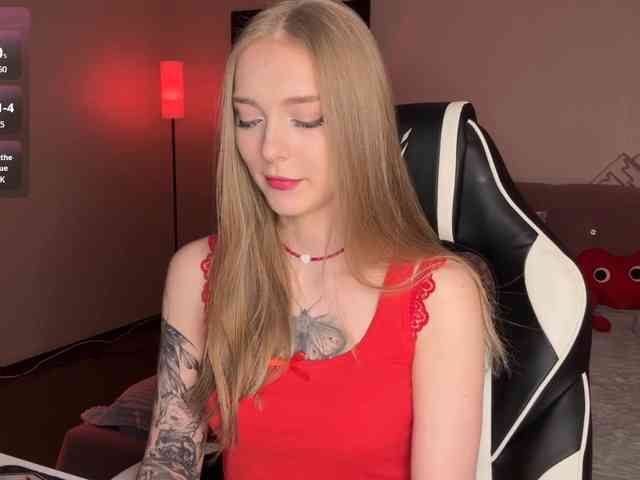 VersieBruegman webcam