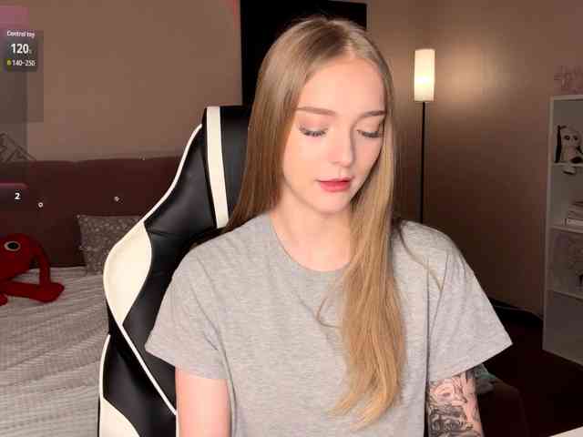 VersieBruegman webcam