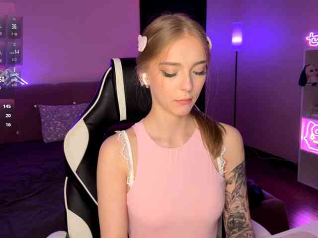 VersieBruegman webcam