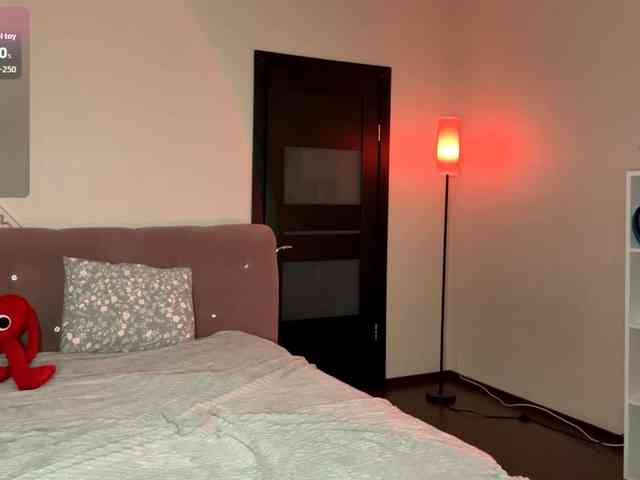 VersieBruegman webcam