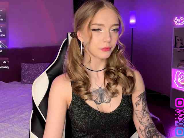 VersieBruegman webcam