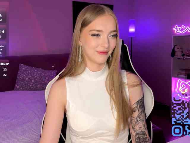 VersieBruegman webcam