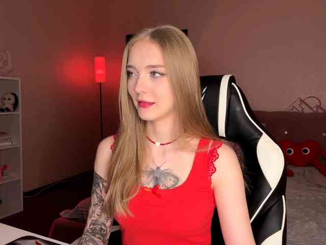 VersieBruegman webcam