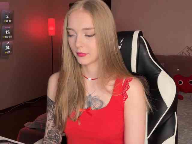 VersieBruegman webcam