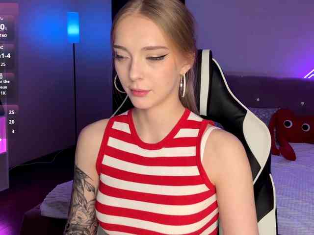 VersieBruegman webcam