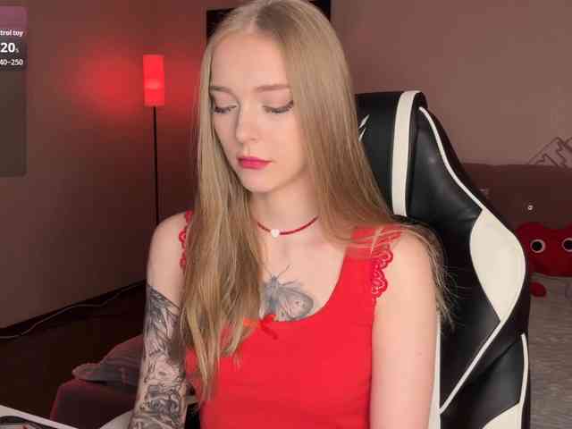 VersieBruegman webcam