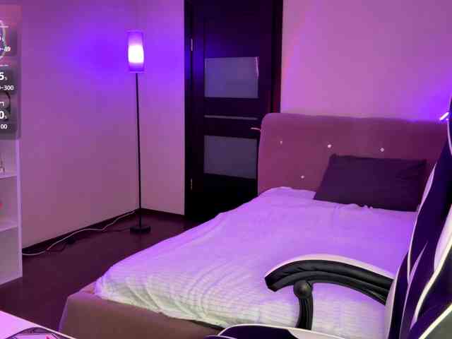 VersieBruegman webcam