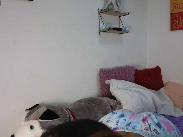 alix-kitty live cam on BongaCams
