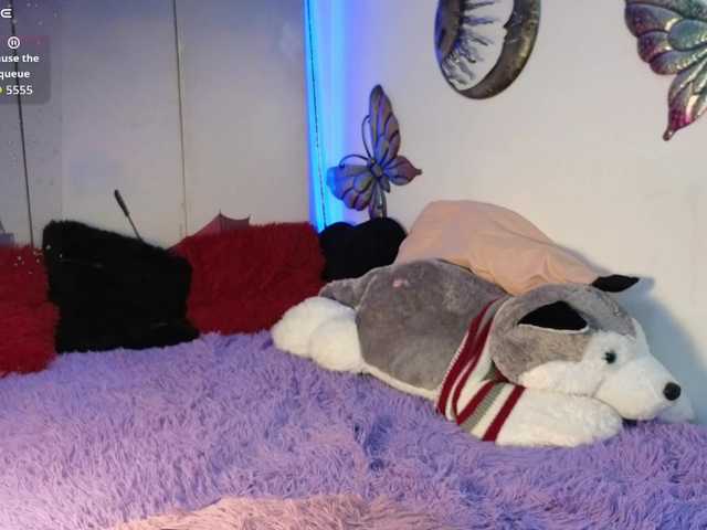 alix-kitty