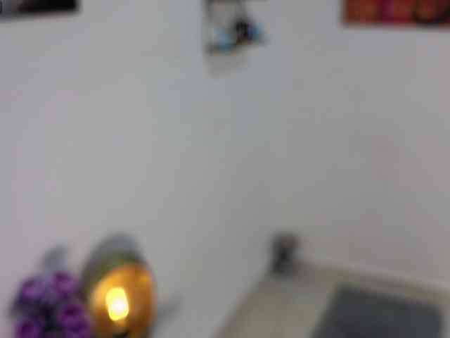 alix-kitty webcam