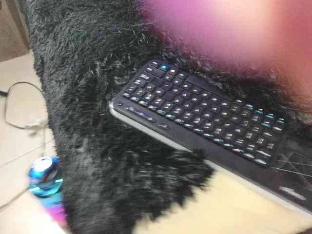 alix-kitty webcam