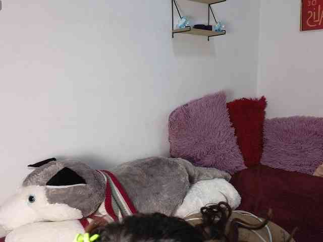 alix-kitty webcam