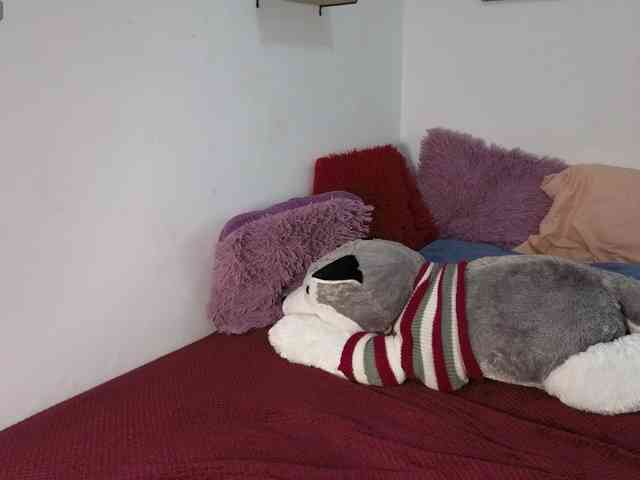 alix-kitty webcam