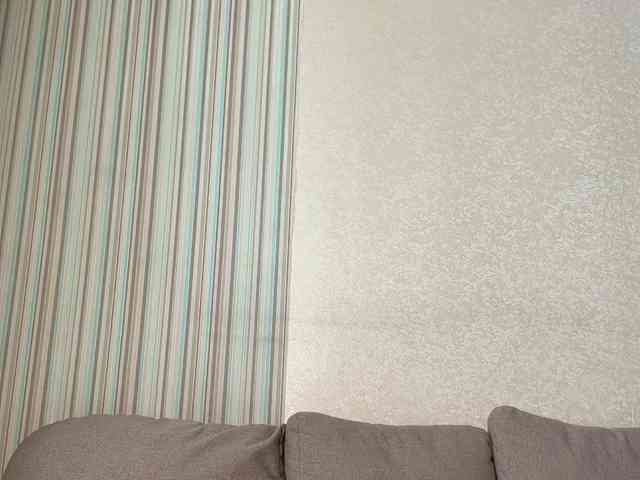 -Safira- webcam
