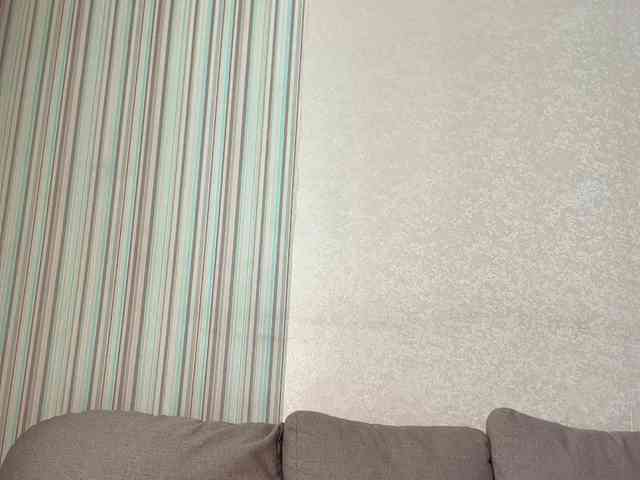 -Safira- webcam