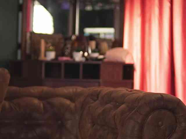 LuxenNoir webcam