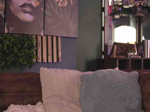 LuxenNoir webcam