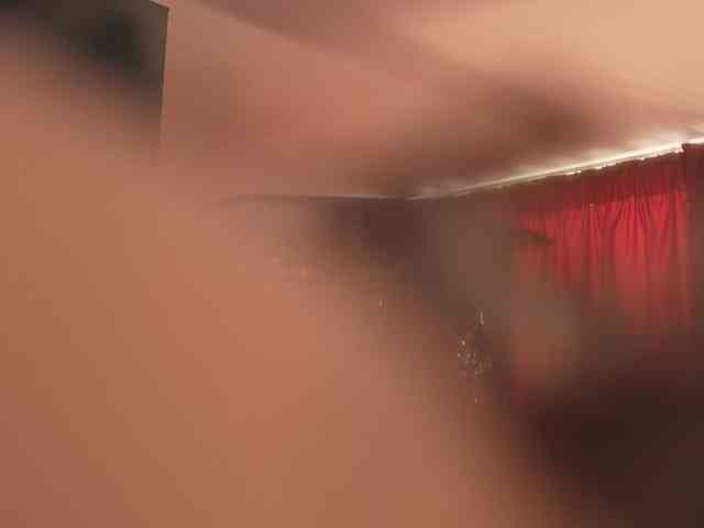 LuxenNoir webcam