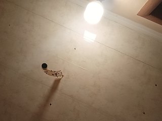 Basketball1
