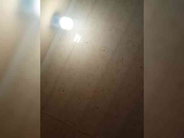 Basketball1