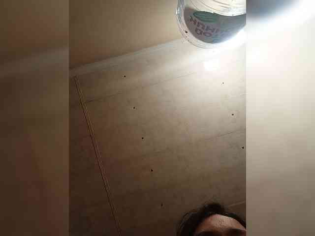 Modelo: Basketball1