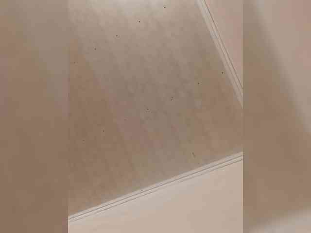 Basketball1 webcam