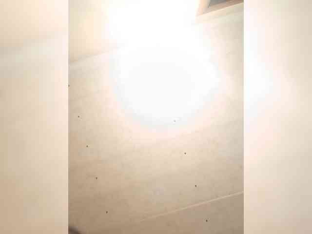 Basketball1 webcam