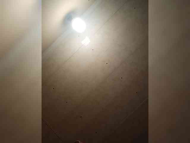Basketball1 Live Webcam on BongaCams