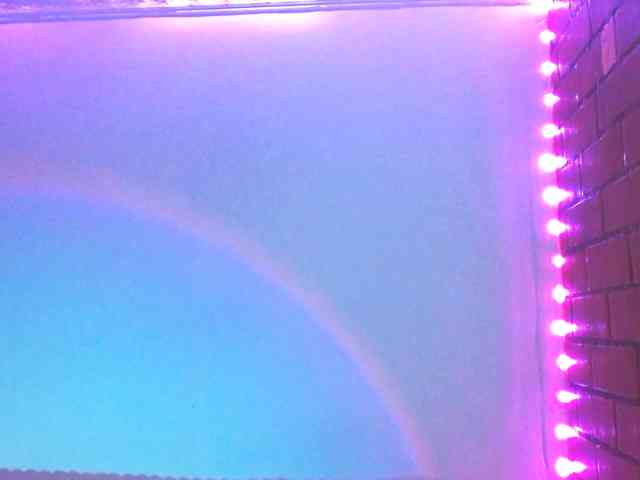 Medussa333 webcam