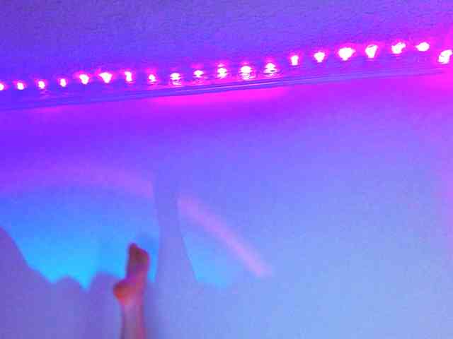 Medussa333 webcam