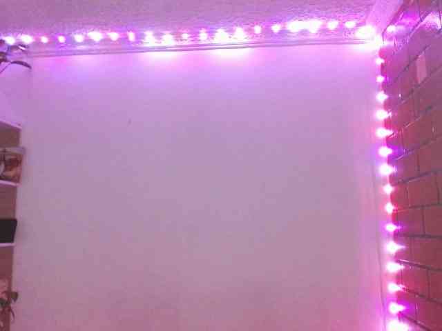 Medussa333 webcam