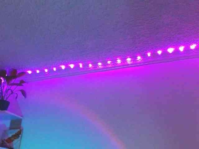 Medussa333 webcam