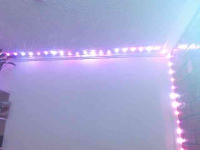 Medussa333 webcam