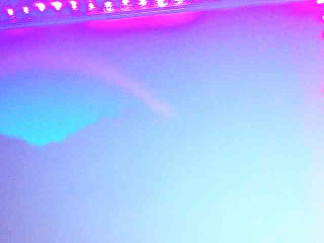 Medussa333 webcam