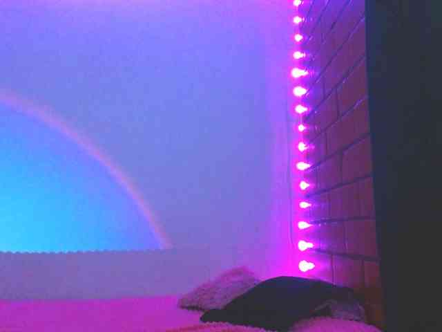 Medussa333 webcam