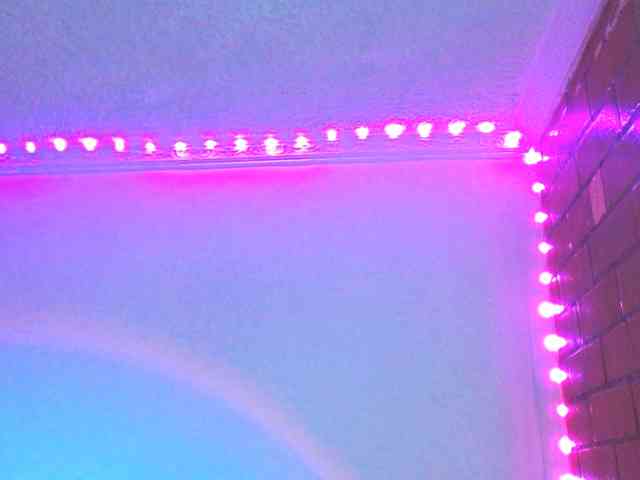 Medussa333 webcam